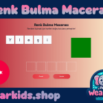 Renk Bulma Macerası