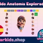 Kiddo Anatomía Explorador