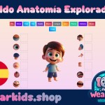 Kiddo Anatomía Explorador