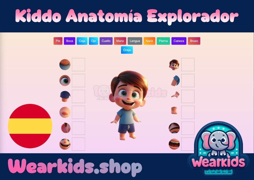 Kiddo Anatomía Explorador