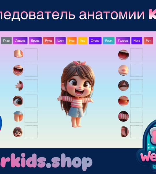 Исследователь анатомии Kiddo