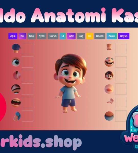 Kiddo Anatomi Kaşifi ile Vücudunu Keşfet