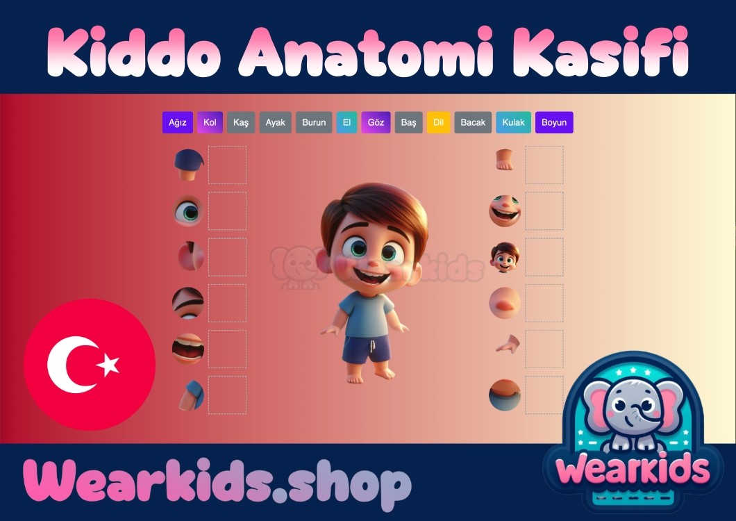 Kiddo Anatomi Kaşifi ile Vücudunu Keşfet