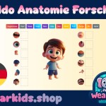 Kiddo Anatomie Forscher