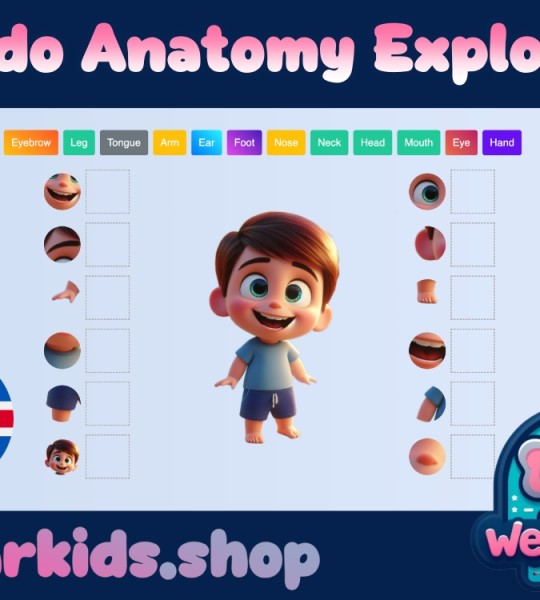 Kiddo Anatomy Explorer